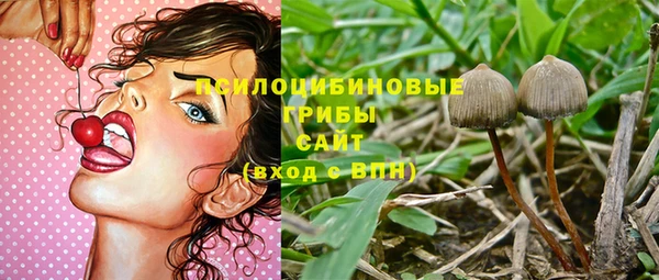 mix Абаза