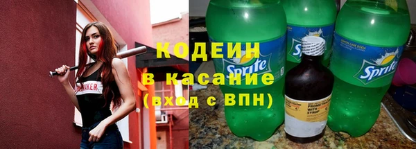 прущие грибы Абинск