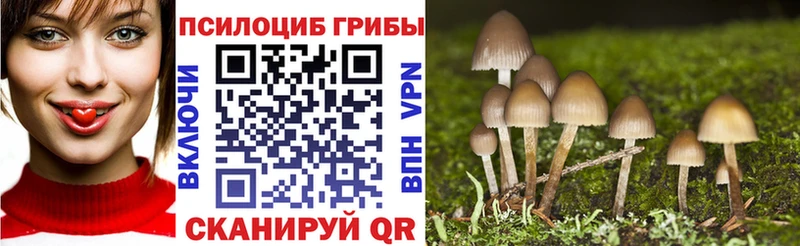 Псилоцибиновые грибы мухоморы  Починок 